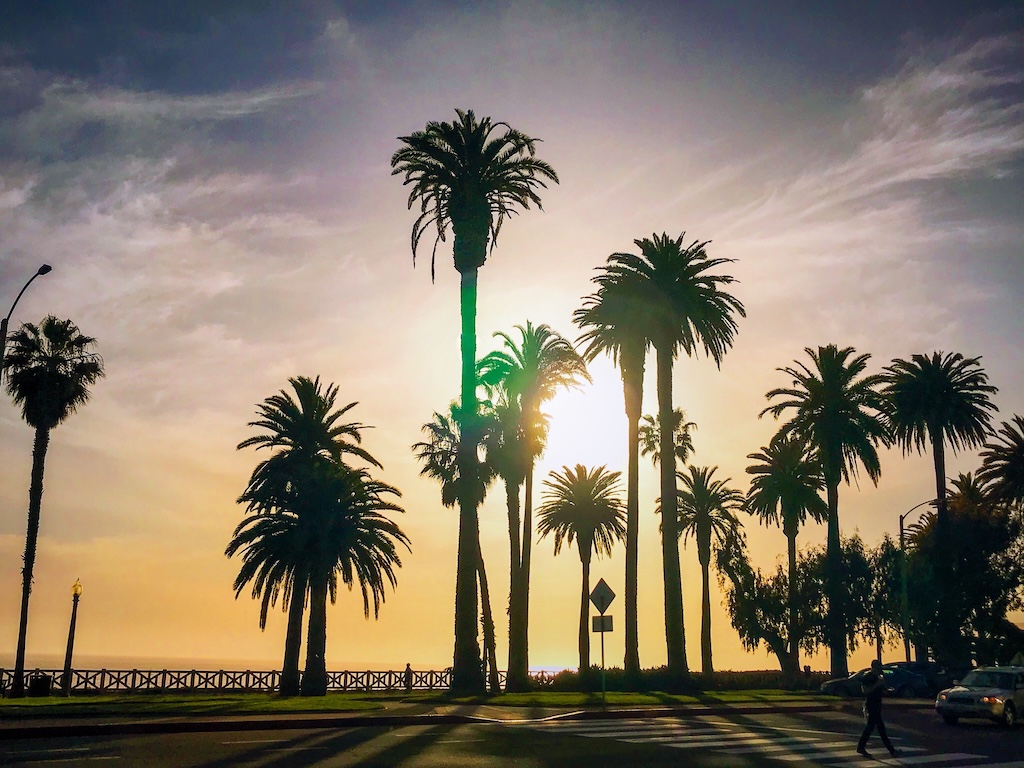 Photo of palm trees at sunset in Southern California.